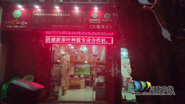 古蔺：以“茶”为媒，生态颜值变经济价值；贫困山村，绘就乡村振兴美好图景(图8)