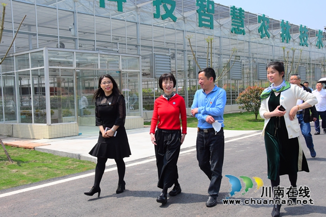 宜宾翠屏区：万企帮万村，助力村美民富产业旺(图1)