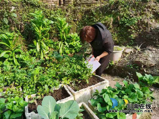 泸县百和镇持续开展毒品踏查工作(图3)
