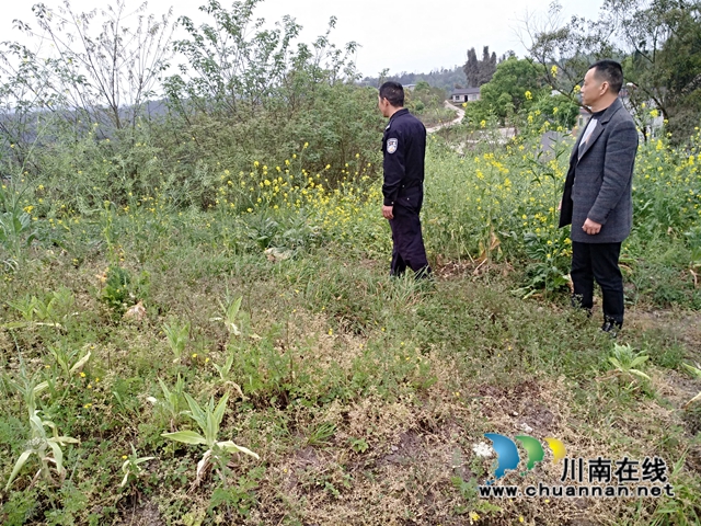 泸县百和镇持续开展毒品踏查工作(图2)