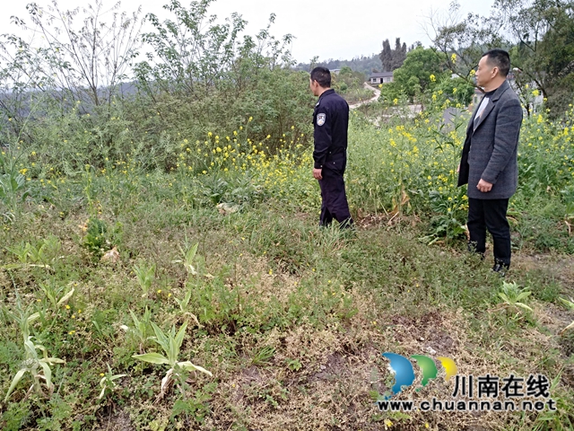 泸县百和镇持续开展毒品踏查工作(图2)