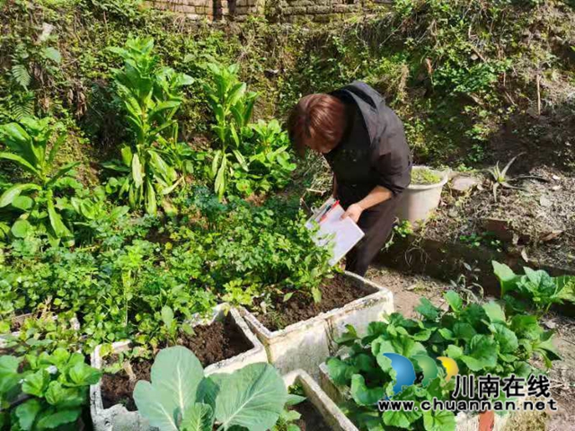 泸县百和镇持续开展毒品踏查工作(图3)