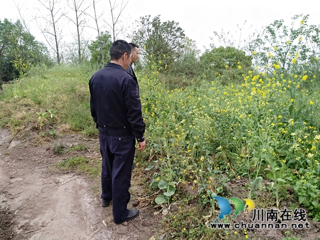 泸县百和镇持续开展毒品踏查工作(图1)