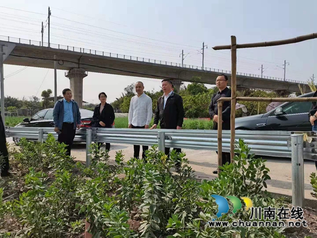 杨双全率队督导泸县小鹿溪河河长制工作(图1)