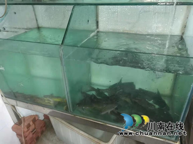 纳溪区市场监管局安富市场监管所深入开展“长江禁捕、打非断链”专项行动(图2)