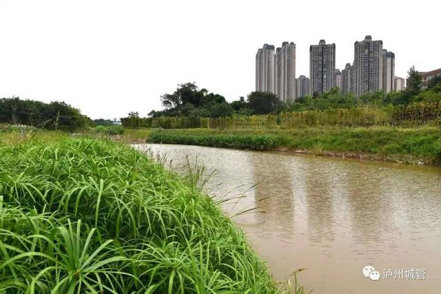 世界水日·中国水周 | 泸州城管护水有方(图3) 世界水日·中国水周 | 泸州城管护水有方(图3)