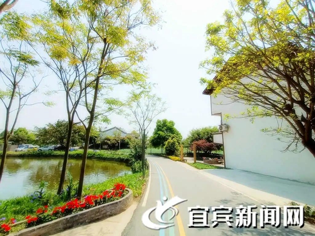 开村、春耕大典、休闲观光...这个宜宾乡村振兴项目美翻了！(图2)