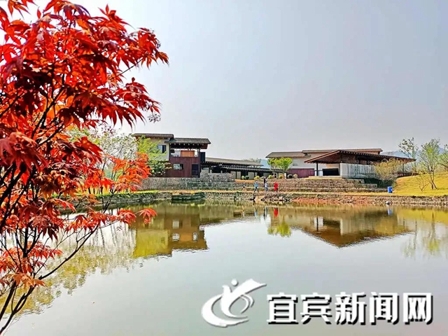 开村、春耕大典、休闲观光...这个宜宾乡村振兴项目美翻了！(图3)
