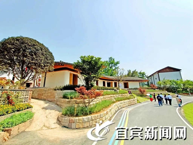 开村、春耕大典、休闲观光...这个宜宾乡村振兴项目美翻了！(图5)