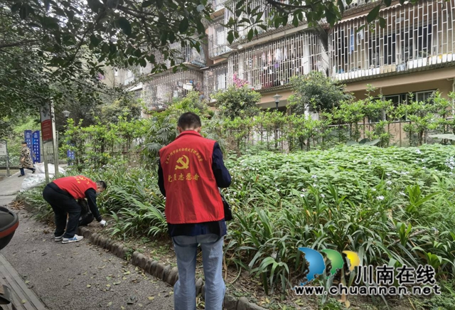 龙马潭区小市街道开展每周一小时志愿服务活动(图1) 龙马潭区小市街道开展每周一小时志愿服务活动(图1)