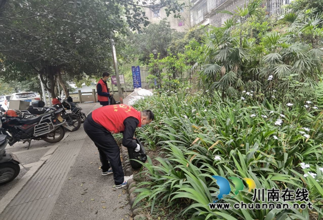 龙马潭区小市街道开展每周一小时志愿服务活动(图2) 龙马潭区小市街道开展每周一小时志愿服务活动(图2)