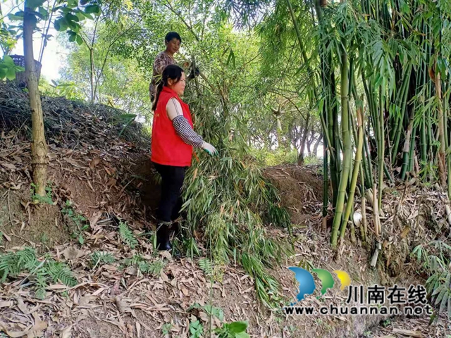 泸县云龙镇党员志愿者开展河道清理行动(图2) 泸县云龙镇党员志愿者开展河道清理行动(图2)