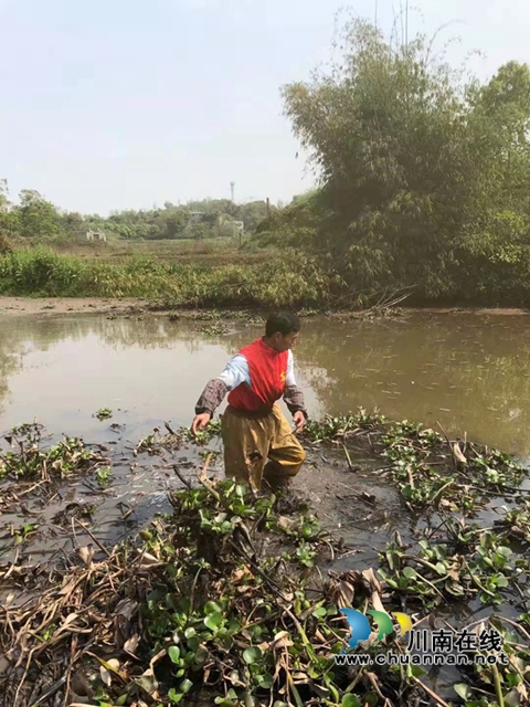 泸县云龙镇党员志愿者开展河道清理行动(图3) 泸县云龙镇党员志愿者开展河道清理行动(图3)
