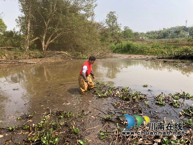 泸县云龙镇党员志愿者开展河道清理行动(图1) 泸县云龙镇党员志愿者开展河道清理行动(图1)
