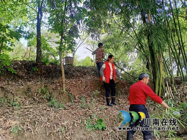 泸县云龙镇党员志愿者开展河道清理行动(图8) 泸县云龙镇党员志愿者开展河道清理行动(图8)