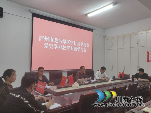 龙马潭区审计局召开党史 学习教育专题学习会(图1)
