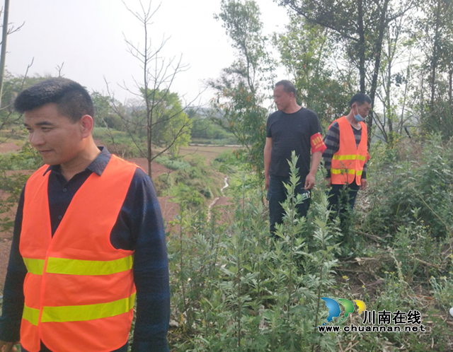 宜宾南溪区长兴镇持续做好森林防灭火巡查工作(图1)