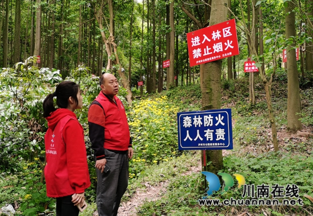 龙马潭区小市街道：多措并举，筑牢森林防火“安全墙”(图2)
