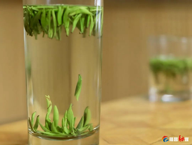 哇！隆昌一深山里，藏着3000亩“金叶子”(图6)