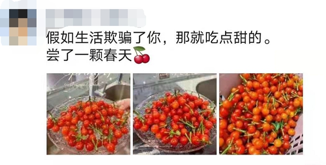 红了！熟了！宜宾周边樱桃采摘攻略来啦！现在去正好！(图3)