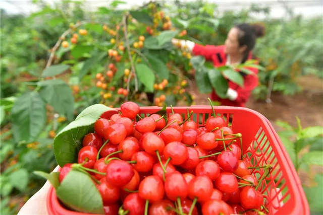 3天，4.9亿！这个清明假期，超百万人在内江耍安逸了！(图4)