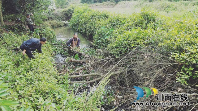 泸县云龙镇启动二期河道改造工程确保治理有效(图1)