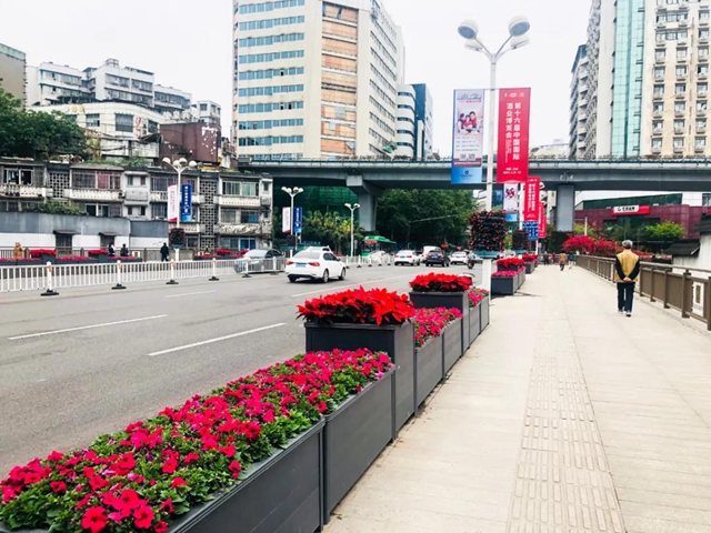 助力酒博会,100万盆鲜花妆点酒城!(图6) 助力酒博会,100万盆鲜花妆点酒城!(图6)