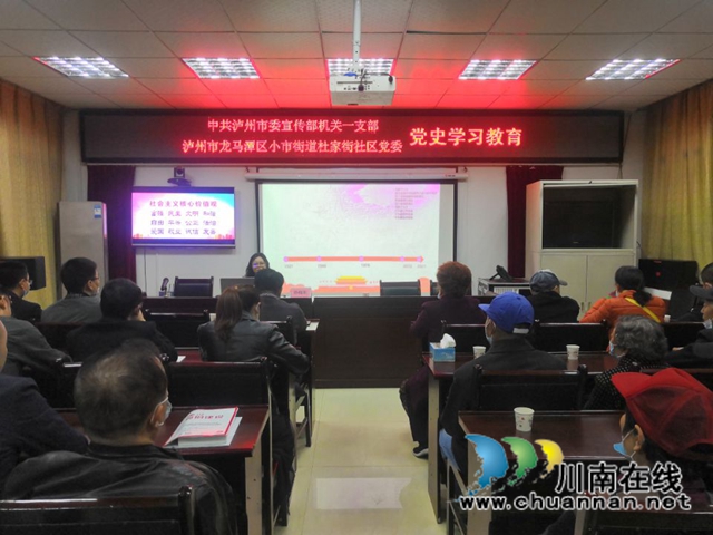 龙马潭区小市街道：多形式开展党史学习教育(图4)