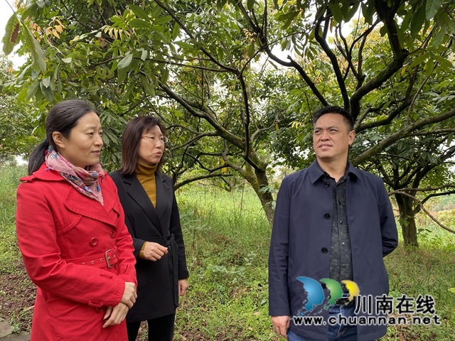 泸州市科协到泸县云龙镇调研科普示范基地(图2)