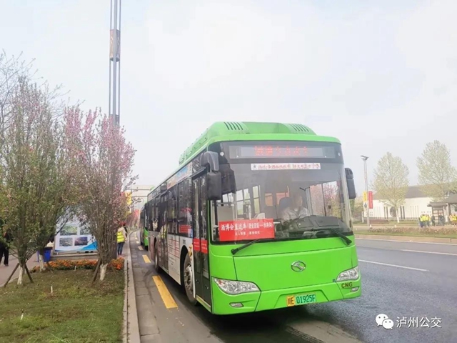 18条泸州公交线路带你玩转酒博会(图1)