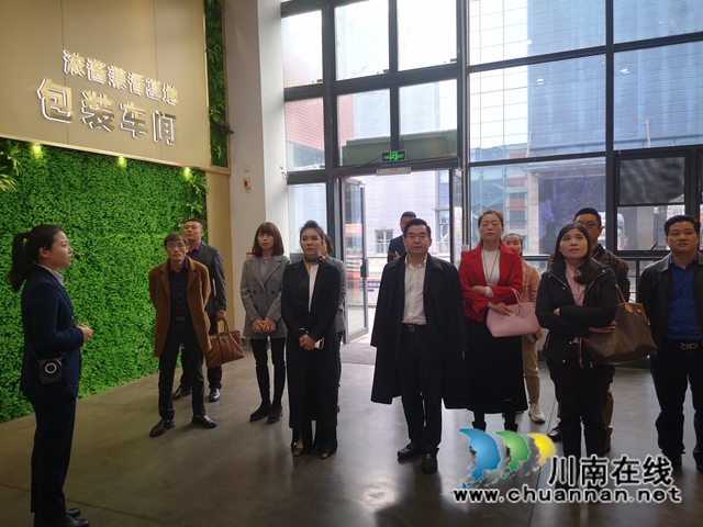 海南省泸州商会到泸州市龙马潭区考察交流工作(图2)