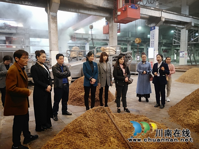 海南省泸州商会到泸州市龙马潭区考察交流工作(图1)