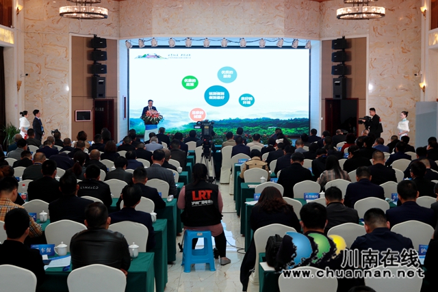 “以血为盟”！泸州首个“无偿献血爱心商会”在纳溪成立(图2)