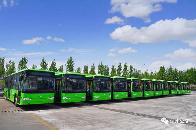 周末，泸州公交送你逛酒博会，品美酒、20多项活动等你狂欢(图7)