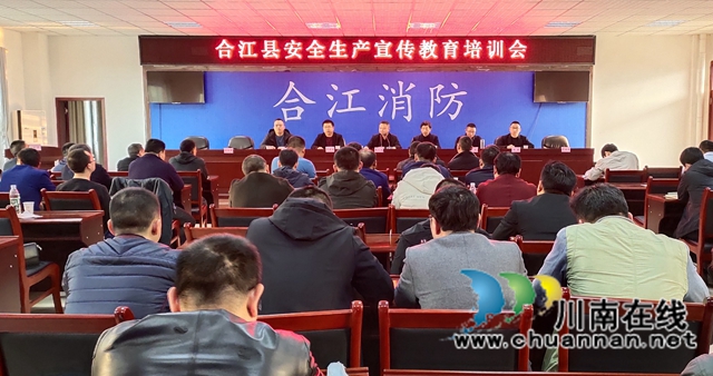 合江县：强化三举措，助力安全宣传“五进”工作(图3)