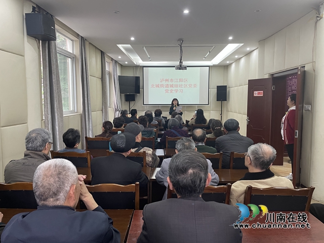 江阳区北城街道城垣社区固定党日学党史扎实学习教育(图1)