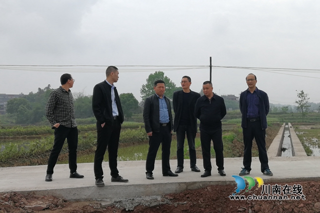 苟明强到泸县百和镇调研高标准农田建设项目(图1)