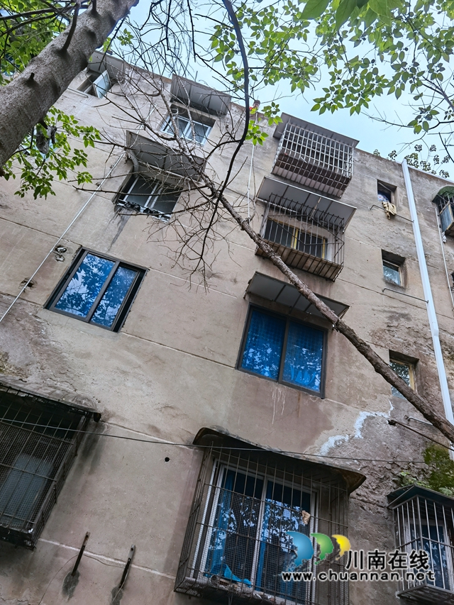 龙马潭区红星街道龙桥子社区：消除安全隐患，确保群众安全(图2)