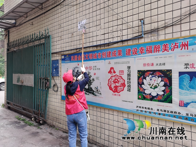 龙马潭区小市街道合道街社区开展“爱国卫生月”志愿者周末环境整治活动(图2)