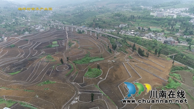 古蔺县龙山镇杨坪村:产业基地如画卷,乡村振兴有基础(图1) 古蔺县龙山镇杨坪村:产业基地如画卷,乡村振兴有基础(图1)