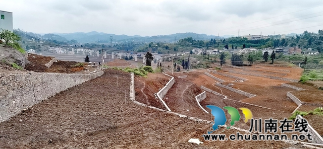 古蔺县龙山镇杨坪村:产业基地如画卷,乡村振兴有基础(图4) 古蔺县龙山镇杨坪村:产业基地如画卷,乡村振兴有基础(图4)