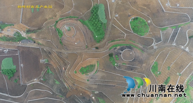 古蔺县龙山镇杨坪村:产业基地如画卷,乡村振兴有基础(图3) 古蔺县龙山镇杨坪村:产业基地如画卷,乡村振兴有基础(图3)