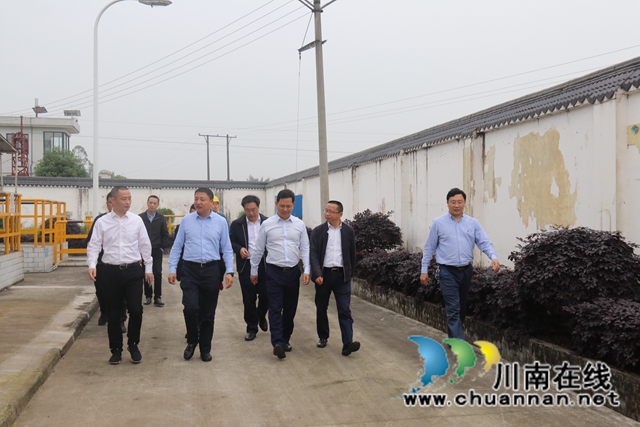 省生态环境厅到泸县百和镇督导生态环保工作(图2)