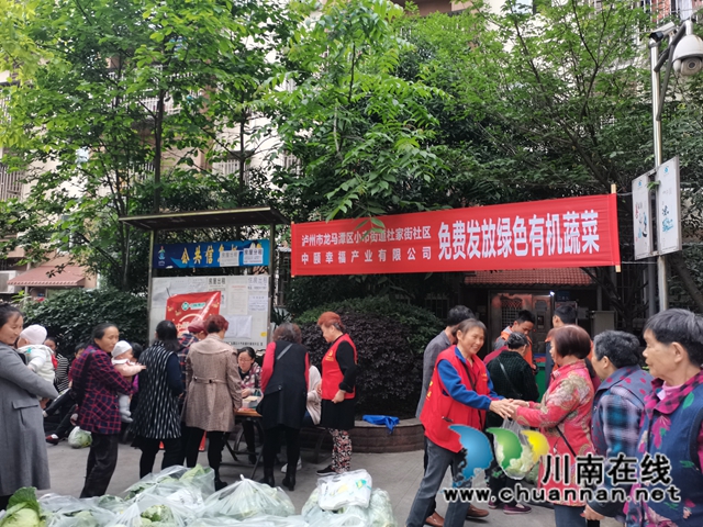 龙马潭区小市街道：有机蔬菜进社区，免费发放暖人心(图2)