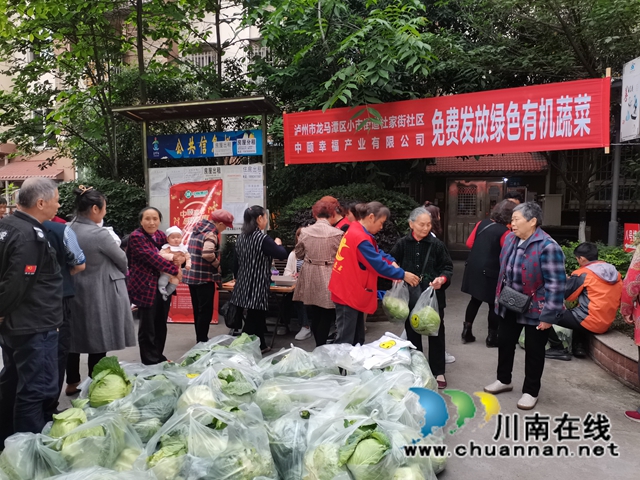 龙马潭区小市街道：有机蔬菜进社区，免费发放暖人心(图3)