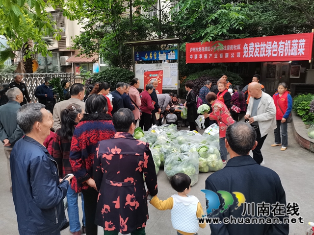 龙马潭区小市街道：有机蔬菜进社区，免费发放暖人心(图4)