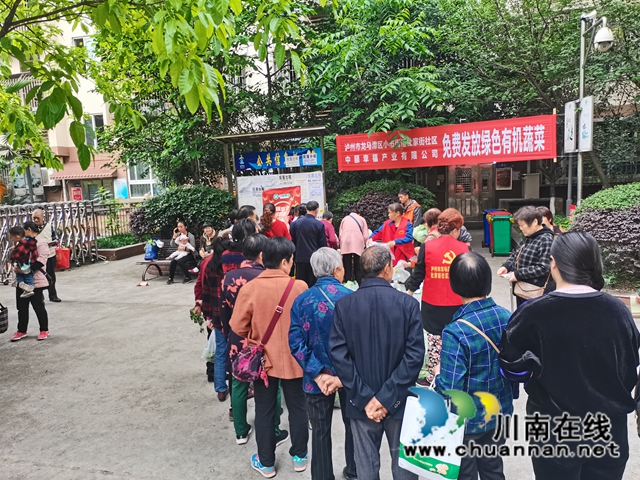 龙马潭区小市街道：有机蔬菜进社区，免费发放暖人心(图5)