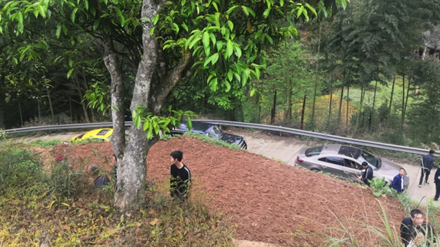 泸州市启动本地茶树种质资源收集工作(图2) 泸州市启动本地茶树种质资源收集工作(图2)