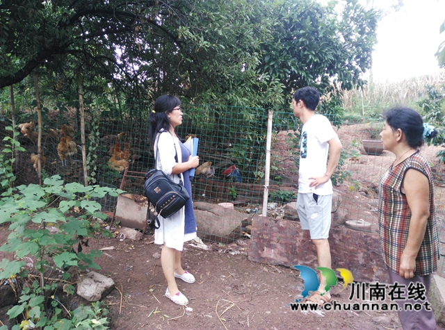 肖洪英：龙马潭区巾帼乡贤当“头雁”，贡献乡村振兴“她力量”(图2)