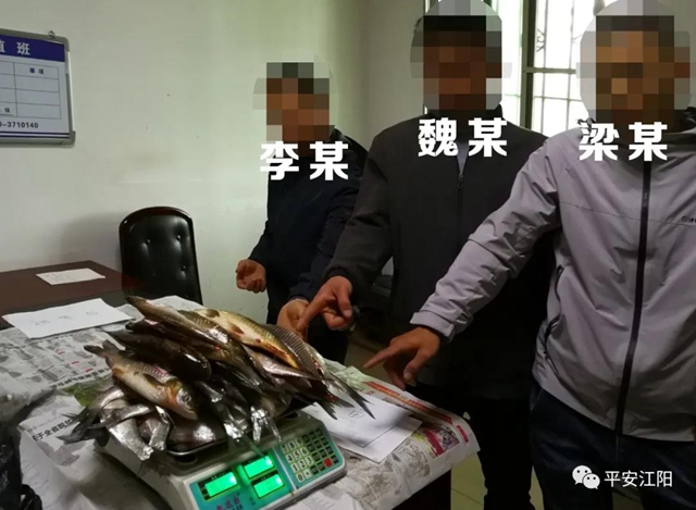 遭起！泸州3名“好吃嘴”，被抓前还不忘先撮一顿……(图4)